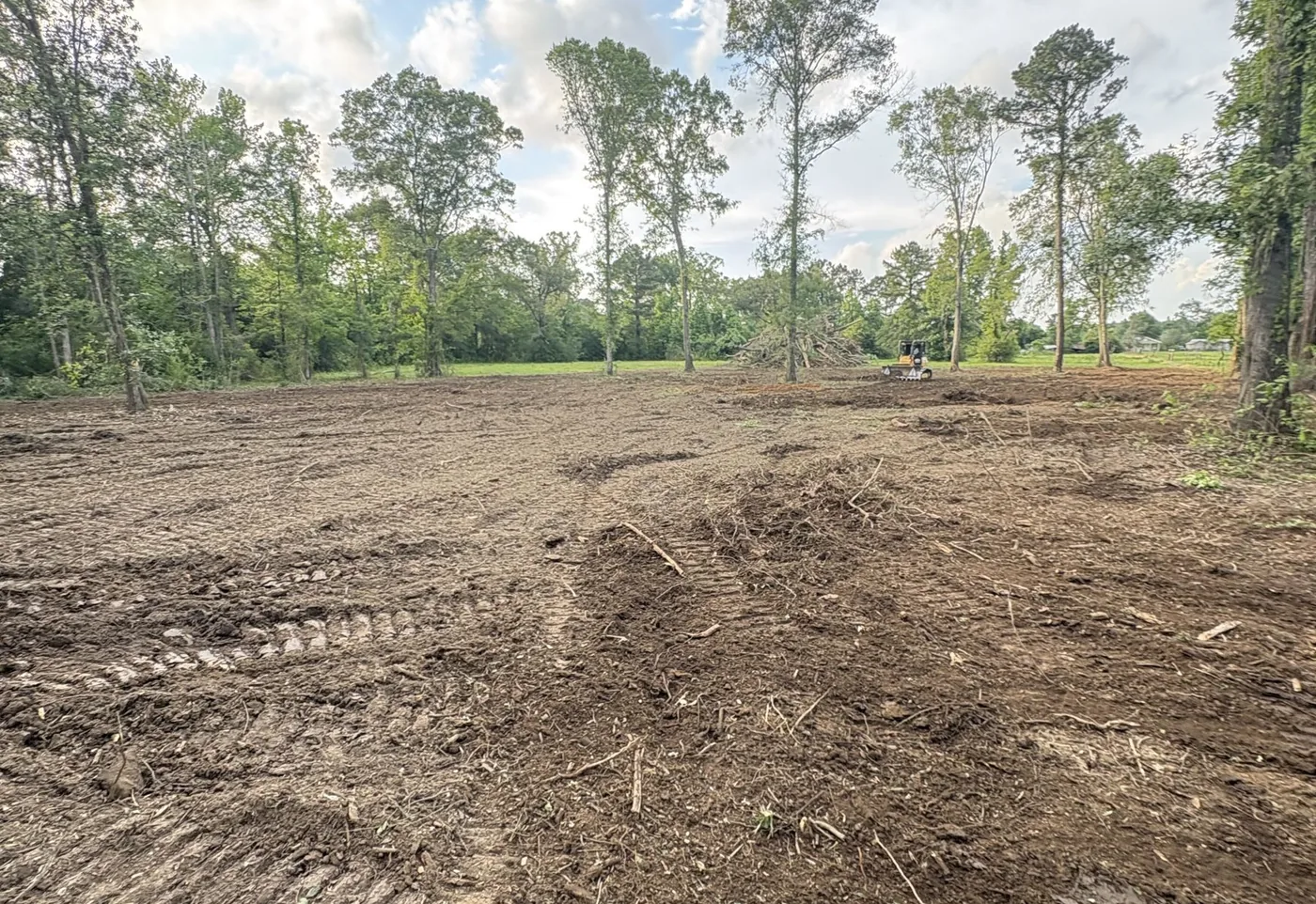 Cleared acreage with track marks and pine trees behind it near Hammond, LA