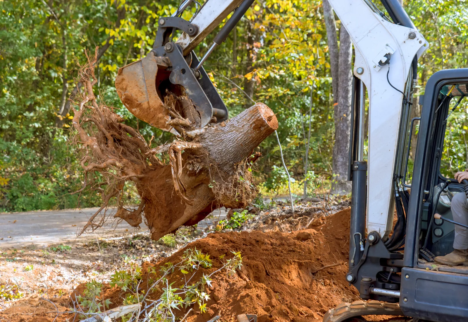 Stump Removal in Hammond, LA