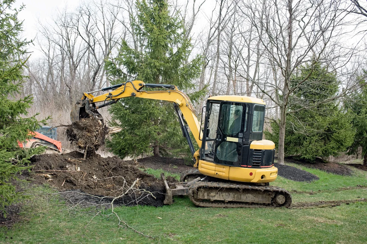 Mini excavator pulling a tree stump and its roots out of a lawn