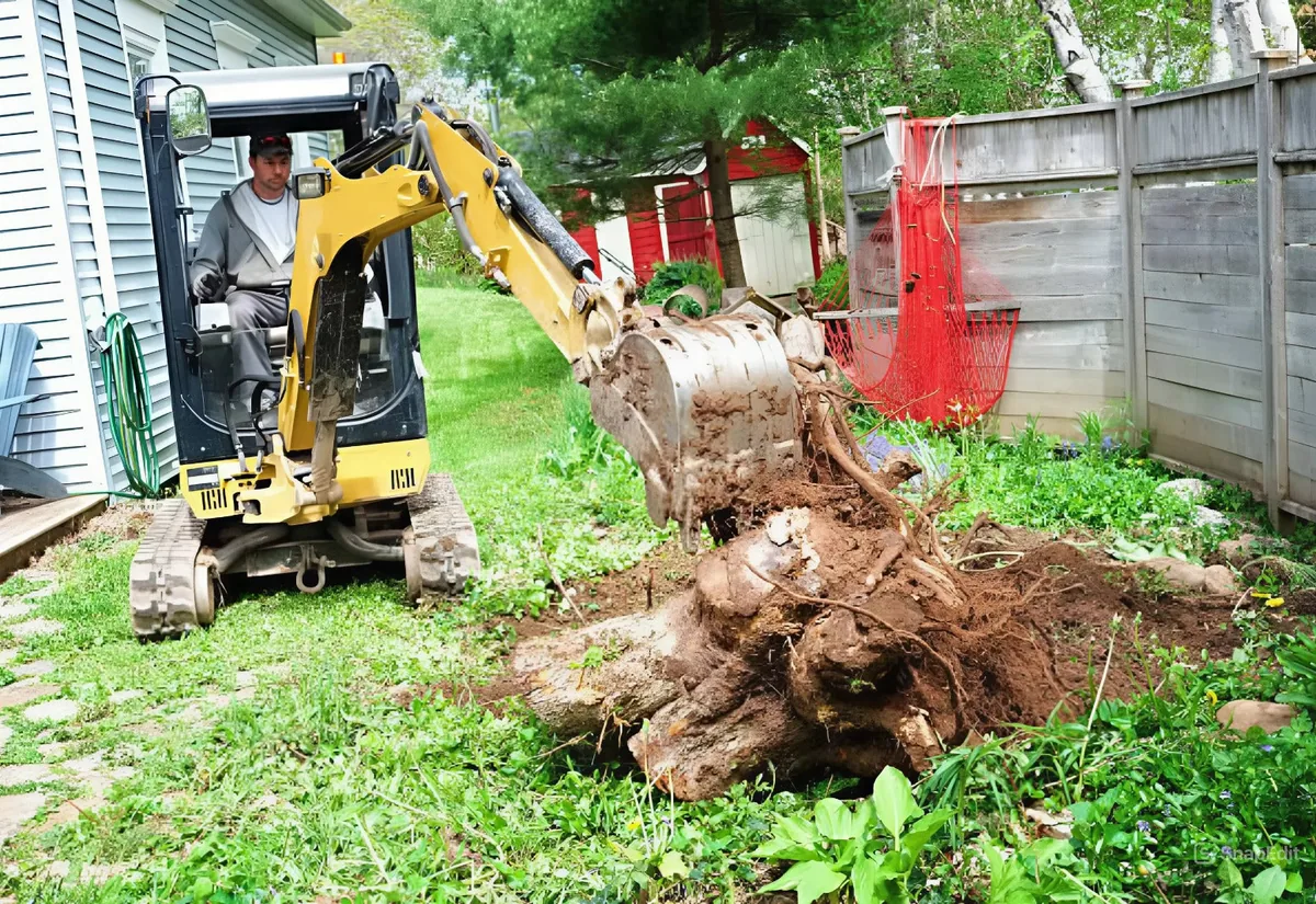 Mini excavator lifting a dug-out tree stump and root ball in a backyard
